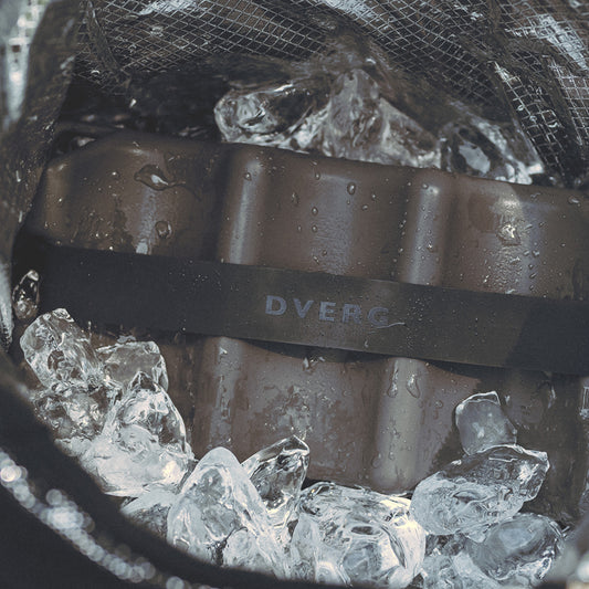 THE ICE ERA