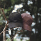 LOGO CAP