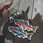 ENCHANT TROUT ICE PACK 2個入り