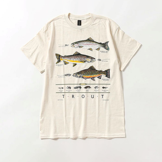 Trout & Flies