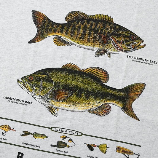 Bass & Flies