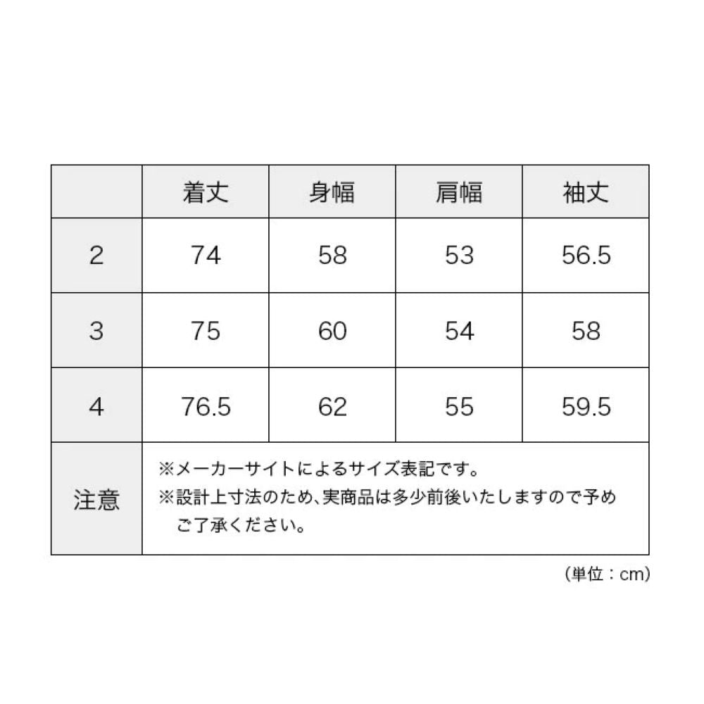 カスミハイカーティーロング